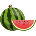 Fruits